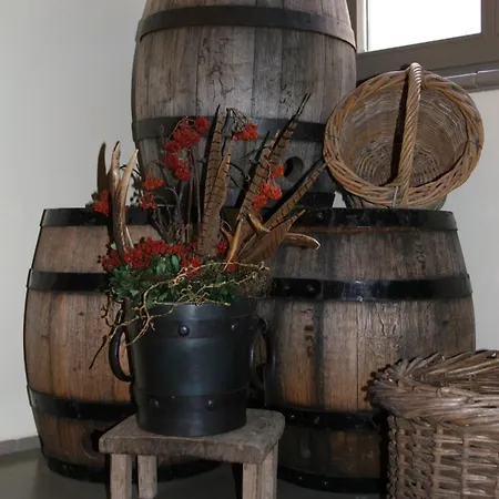 Guest house Engel
